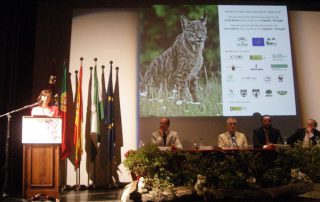 presentacion-Iberlince