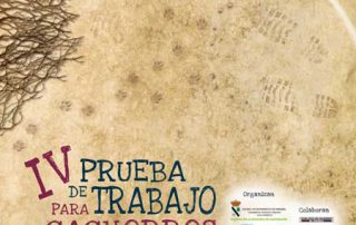 cartel-cachorro-mirabel