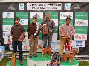 cachorros-mirabel