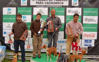 cachorros-mirabel