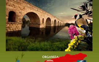 cartel-cto-silvestrismo-12