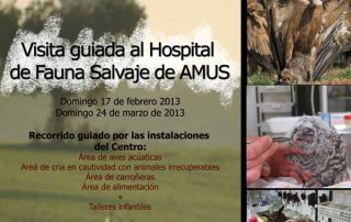 visita-amus