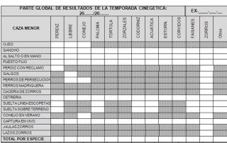 parte-global-resultados