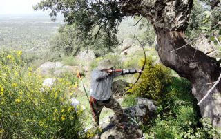 cto-ext-rrcc-arco-2013-01