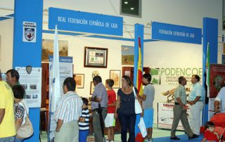 stand-fedexcaza-2012