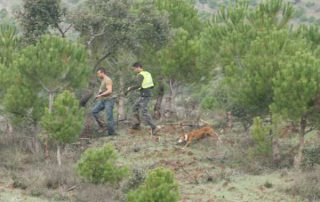 caza-menor-perro-13-previa