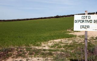 politica-agraria