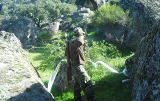 rrcc-arco-previa-plasencia-14