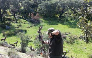 Autonomico-RRCC-Arco-14-01