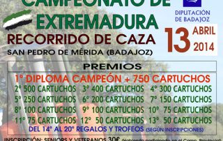 Cartel-RRCC-Autonomico-2014-pq