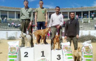 IV-Salon-Extremeno-Podenco-01