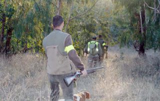 OGV-solicitud-publicacion