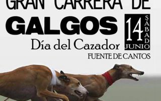 galgos-dia-cazador