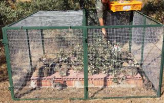 proyecto-conejo-20-06-14-01