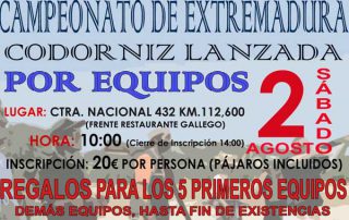 cto-codorniz-equipos-2014