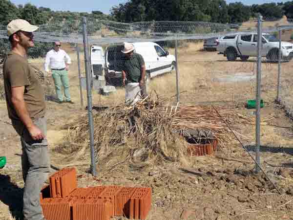 vacunacion-conejos-sc-alegria-2014-02
