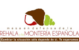 mesa-monteria-rehala-espanola