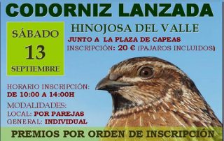 tirada-codornices-hinojosa-valle-14