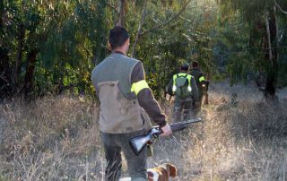 cto-caza-menor-perro-previa-2014