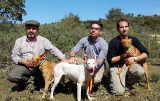 iv-copa-podencos-2015-01