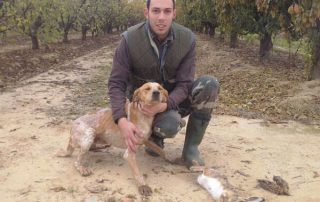 perro-desaparecido-16-03-15