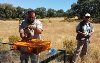 proyecto-conejo-mayo-15-01