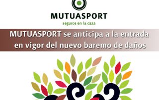 mutuasport-baremo-danos