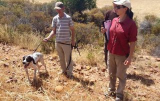 pointer-julio-2015-01