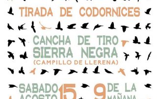 tirada-codornices-campillo-llerena-15