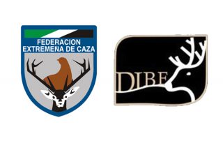 dibe-fedexcaza