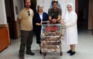 donacion-menor-perro-BA-2015