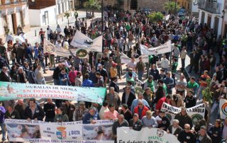 manifestacion-rehalas-niebla-01