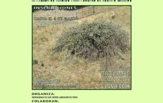 prueba-podencos-feria-2016