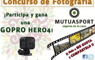 go-pro-mutuasport