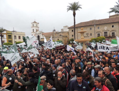 Por la convivencia y el activismo