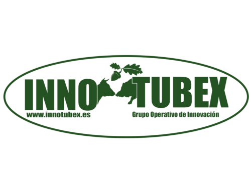 INNOTUBEX