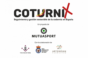 coturnix