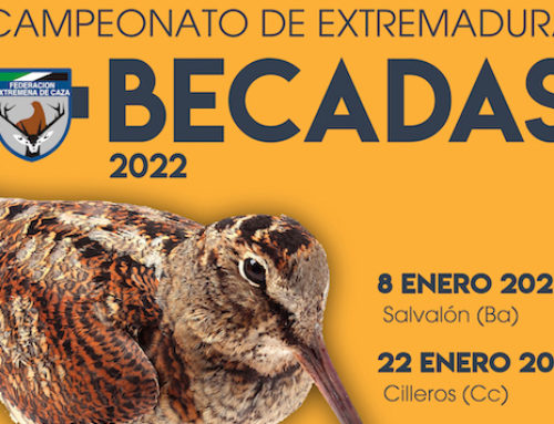 El Campeonato de Extremadura de Becadas se celebra en enero con una doble prueba puntuable en Salvaleón y Cilleros