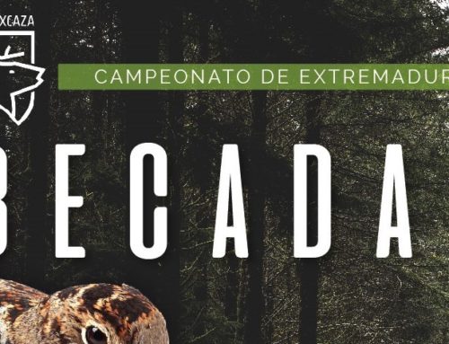 Abierto el plazo de inscripción para el Campeonato de Extremadura de Becadas