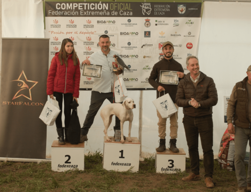 La IX Edición del Campeonato de Extremadura de Cetrería se ha celebrado en Llerena con un gran éxito