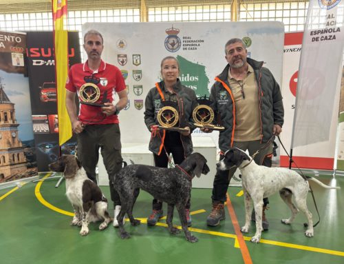 Extremadura, protagonista absoluta en el Campeonato de España de San Huberto
