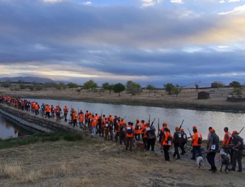 Garrovillas de Alconétar acoge con éxito las fases provinciales del Campeonato de Extremadura de Caza Menor con Perro 2025