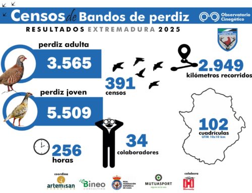 Extremadura lidera los censos de bandos de perdiz en España con casi 400 conteos registrados