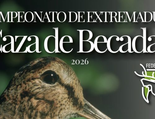 Abierto el plazo de inscripción para el Campeonato de Extremadura de Becadas 2026