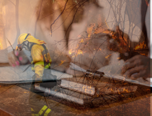 FEDEXCAZA presenta 15 medidas y pide reformar 5 leyes para la lucha contra incendios