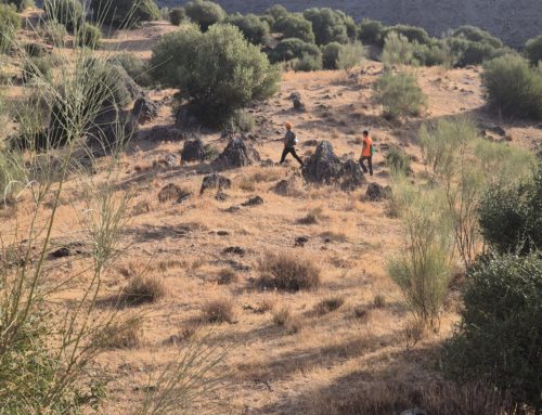 La Base General Menacho acogerá este sábado la final autonómica del Campeonato de Extremadura de Caza Menor con Perro 2025