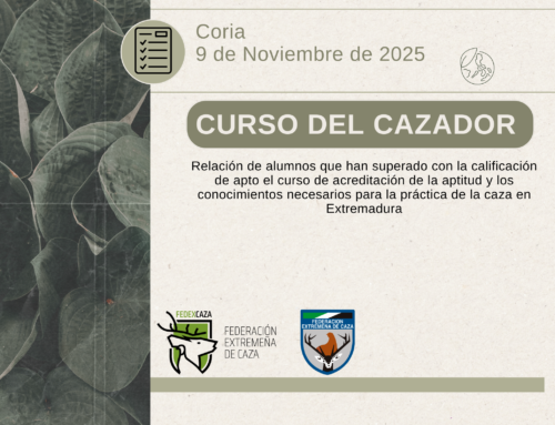 APTOS. Coria (09/11/25)