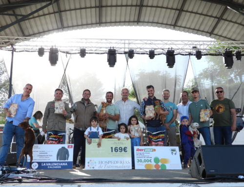 José Joaquín Rajo con ‘Zorri’ se proclama campeón de Extremadura de Podencos en Recinto Cerrado 2026