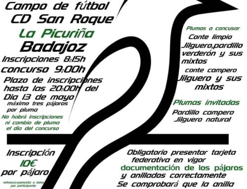 Abierto el plazo de inscripción para el Campeonato de Extremadura de Silvestrismo 2026