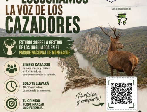 FEDEXCAZA anima a los cazadores extremeños a participar en un estudio de la Universidad de Córdoba sobre la gestión de los ungulados en Monfragüe